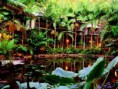 HOTEL FORESTA PLUVIALE 2 NOTTI